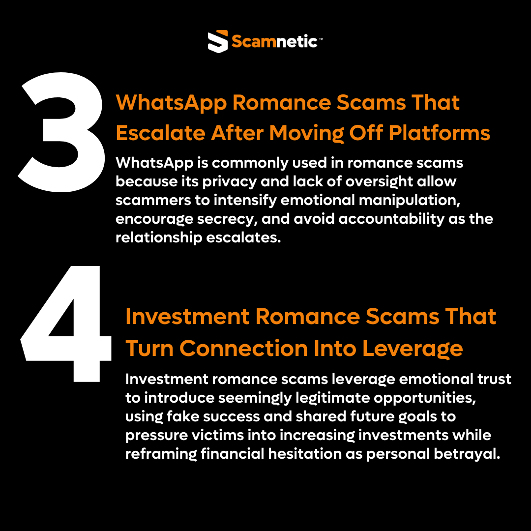 SCAMNETIC tweet media