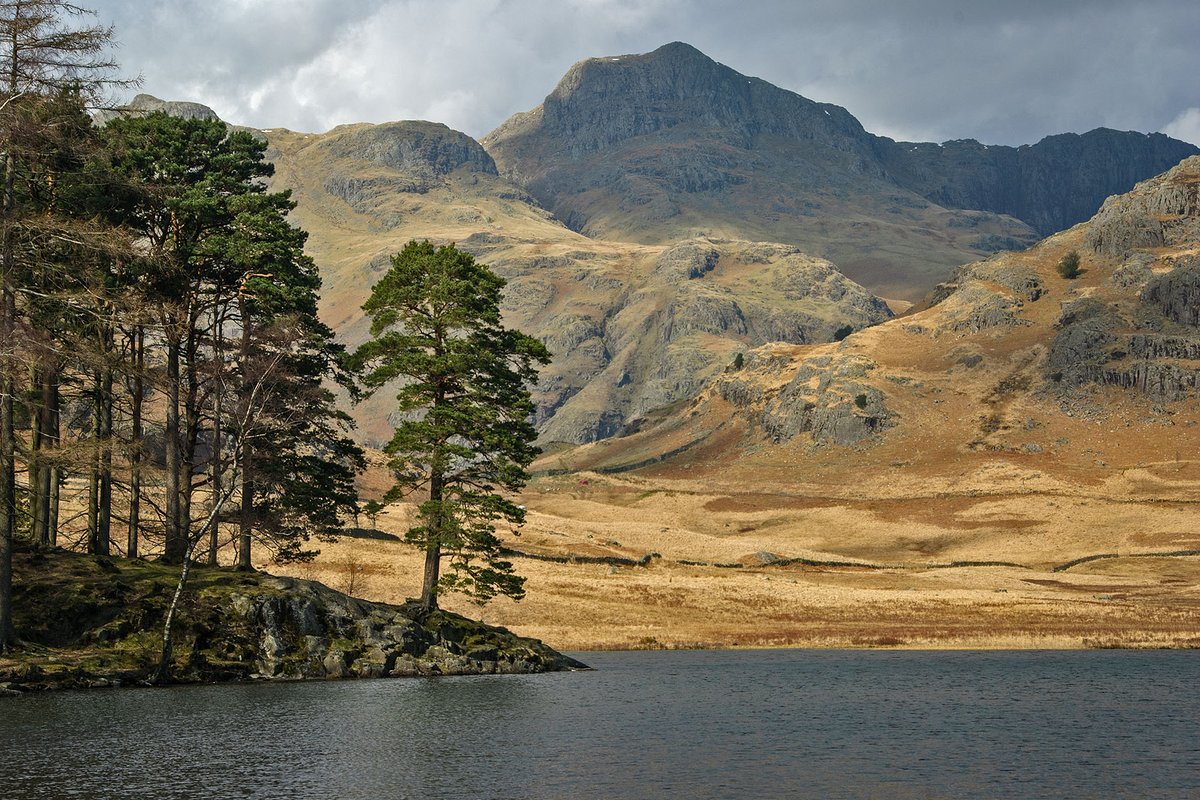 YorkshireLass tweet media