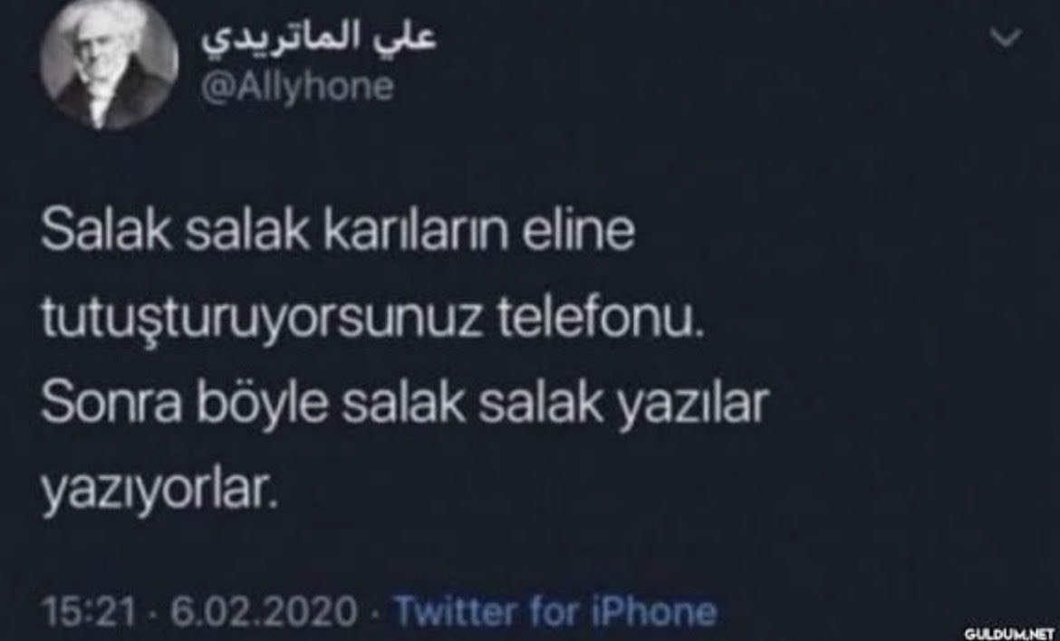 Dynomo tweet media