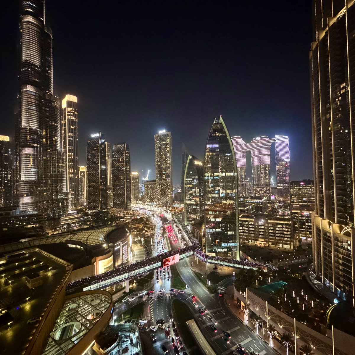 Fernando Del Canto tweet media