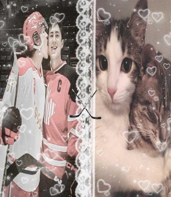 ohollanov's tweet photo. hiii i want #hrtwt moots!! <3 i'm super nice i promise and i'm unemployed so i'm #chronically online 😭

some facts abt me: i'm 22, i'm a girl, i'm egyptian so arab moots are very very welcome <3 and i made this acc for hudcon/hollanov! (pic cred: b3nwyattscalzone_ on pinterest) https://t.co/xj942qobAp