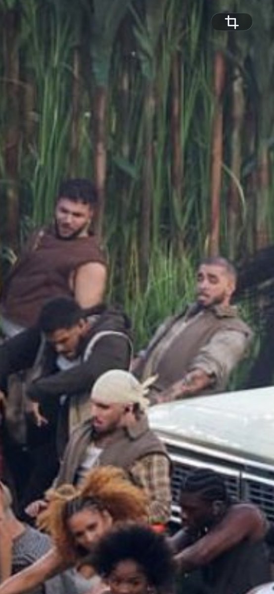 Orangutang Mane tweet media