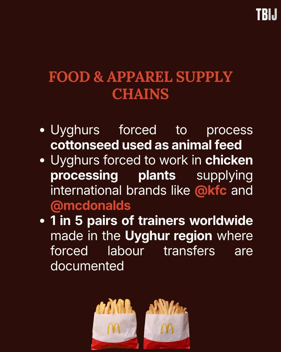 Part 1: New investigations in 2025 make one thing clear:
#Uyghurforcedlabour remains deeply embedded in global supply chains. It doesn’t stop at cotton, and it doesn’t stay local. It moves through global supply chains, hidden behind labels, logistics, &amp; business as usual