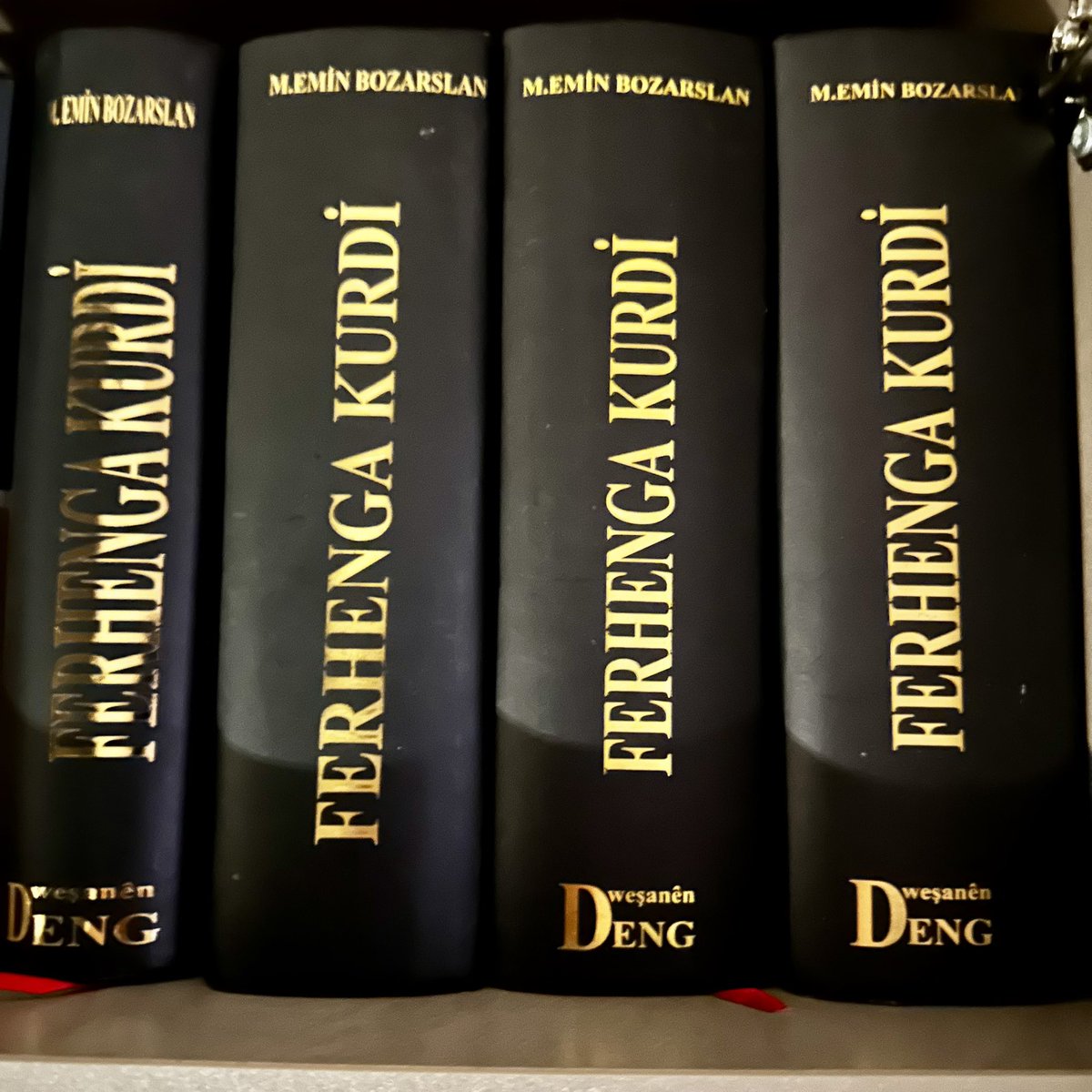 “Daxwaza min, armanca min ew bû ku gelê Kurd zimanê xwe bi rêya zimanê xwe fêr bibe.”

– Mehmed Emîn Bozarslan

Kesên wisa mezin qet namirin.
