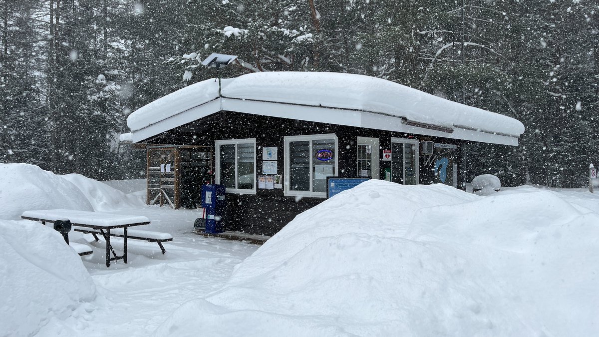 Algonquin Provincial Park tweet media