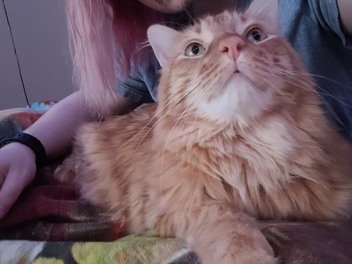 my son who i birthed