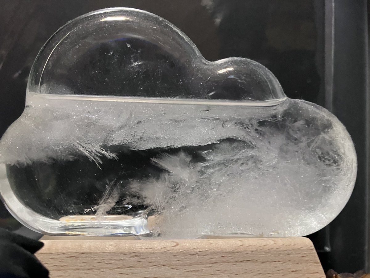 Post by なみだʕ•ᴥ•ʔ˚✩* on X: 雨降ってる