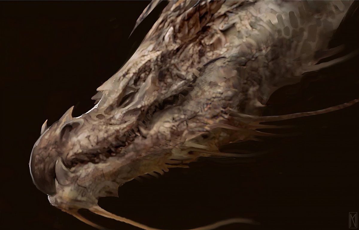 Nikola Matkovic tweet media