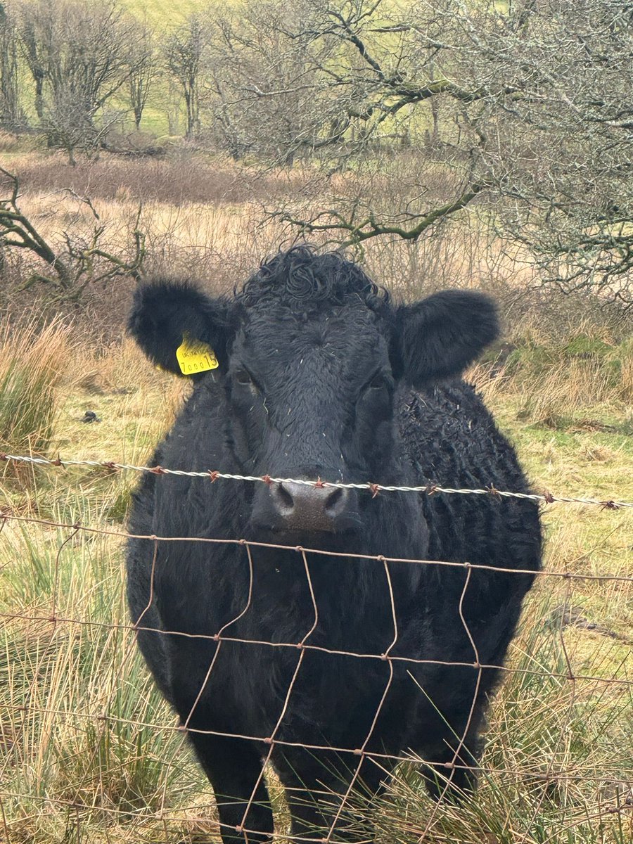 Aled Johnson tweet media