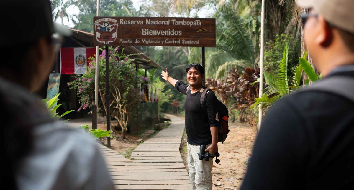 cuscojourneys's tweet image. Discover the magic of the Peruvian Amazon with Tambopata Tours 4 Days / 3 Nights 🌿🦜
🌐 Website: cuscojourneys.com
🦙 Book Now: bit.ly/4qwRs35
#TambopataTours #AmazonRainforest #cuscojourneys #PeruTravel #EcoTourism #WildlifeExperience #JungleTour #peruvianamazon