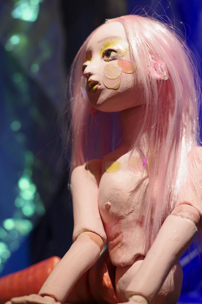 🦀バイオチワワ🦀 tweet media