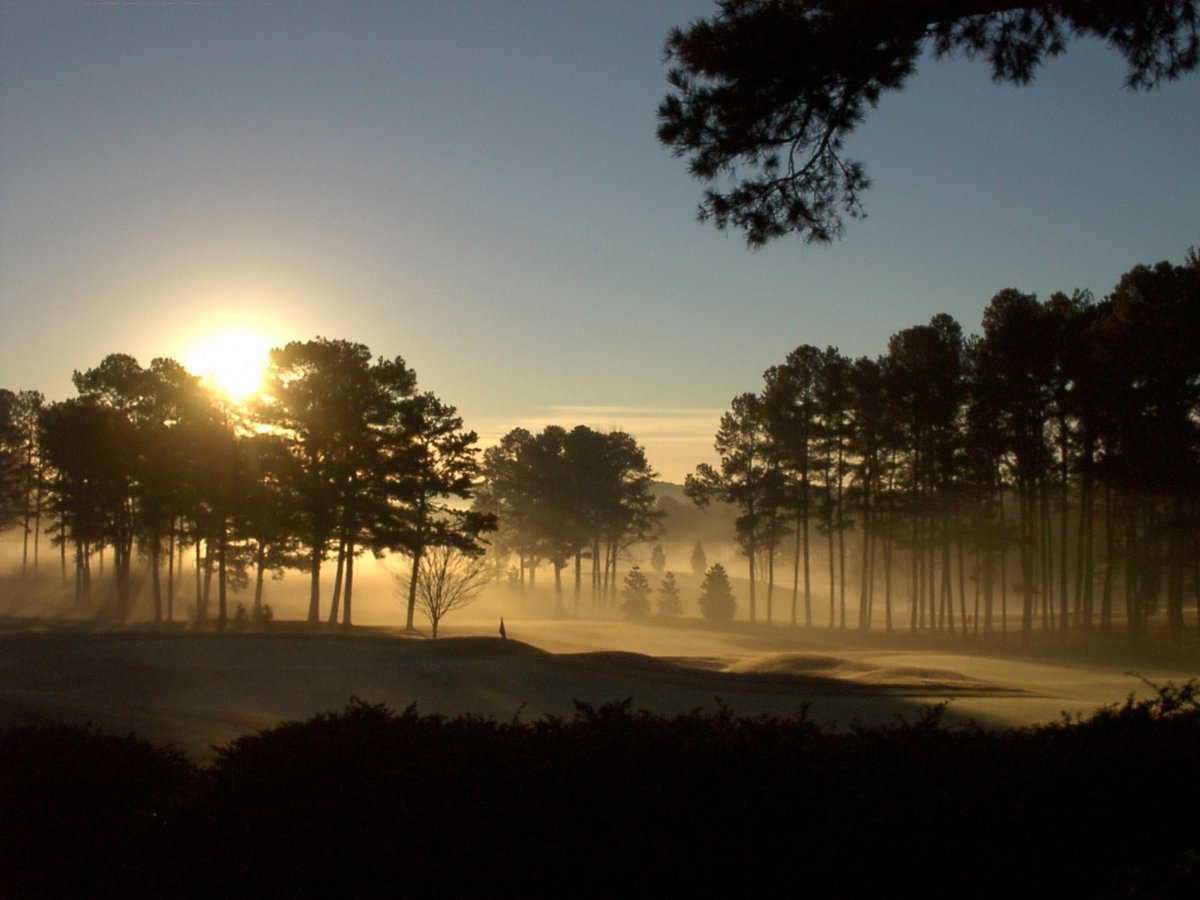 UGA Golf Course tweet media