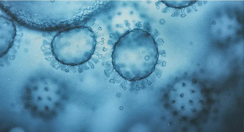 utmbhealth's tweet image. Thanks to a new @NIH grant, UTMB Health scientists are advancing research on human noroviruses, responsible for nearly one-fifth of global gastroenteritis cases. The work aims to close key knowledge gaps and inform future prevention. utmb.us/f58