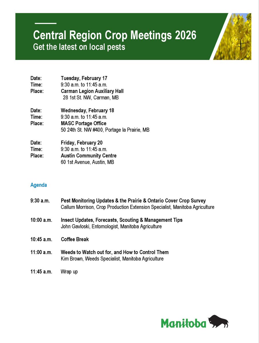 Callum Morrison tweet media