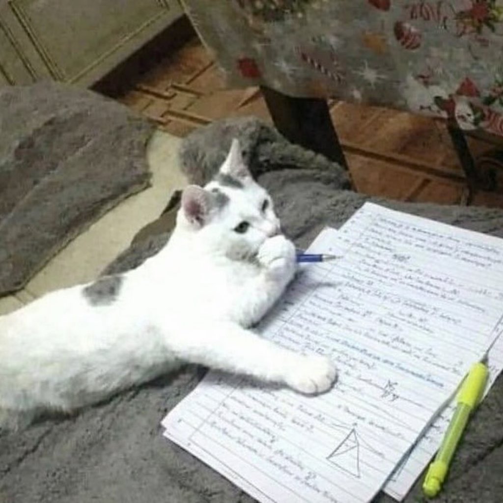 yo fingiendo que estoy estudiando pero en realidad llevo leyendo la misma página una y otra vez porque se me olvida todo lo que leí anteriormente