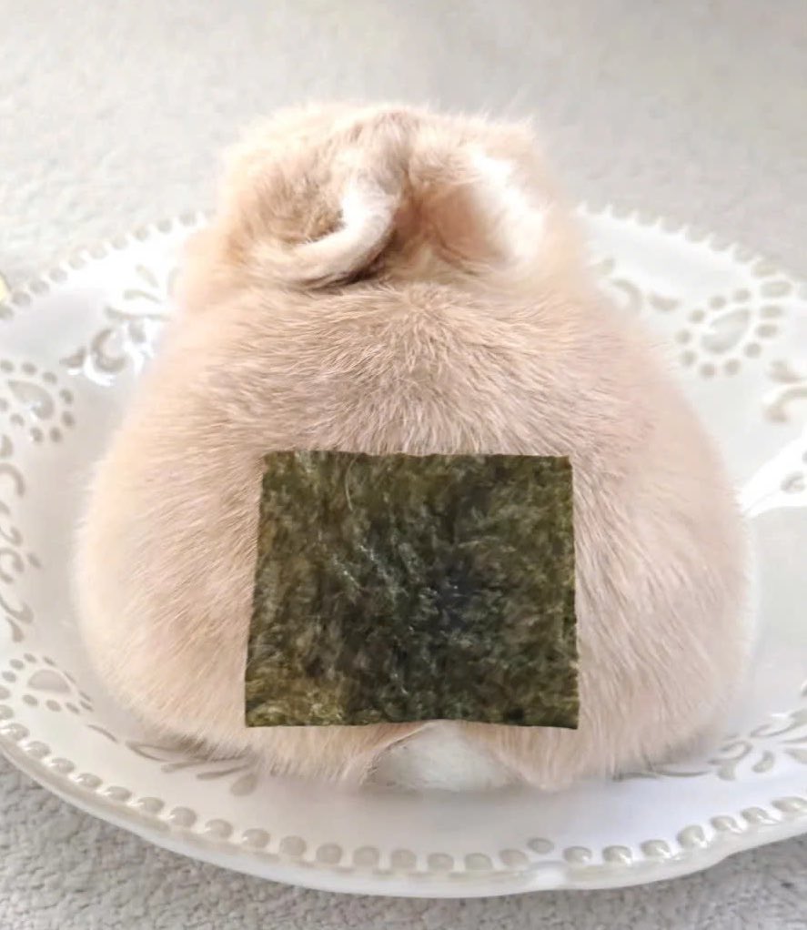 4xousand's tweet image. 주먹밥토끼
이거 싱후니