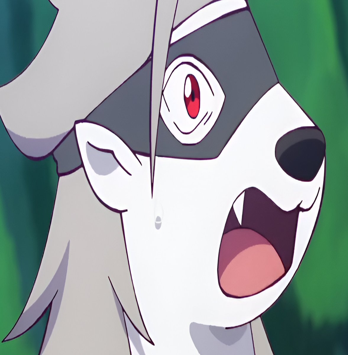 DailyWolvermon's tweet photo. Ahhhhh! https://t.co/6JhAL1f8Eg