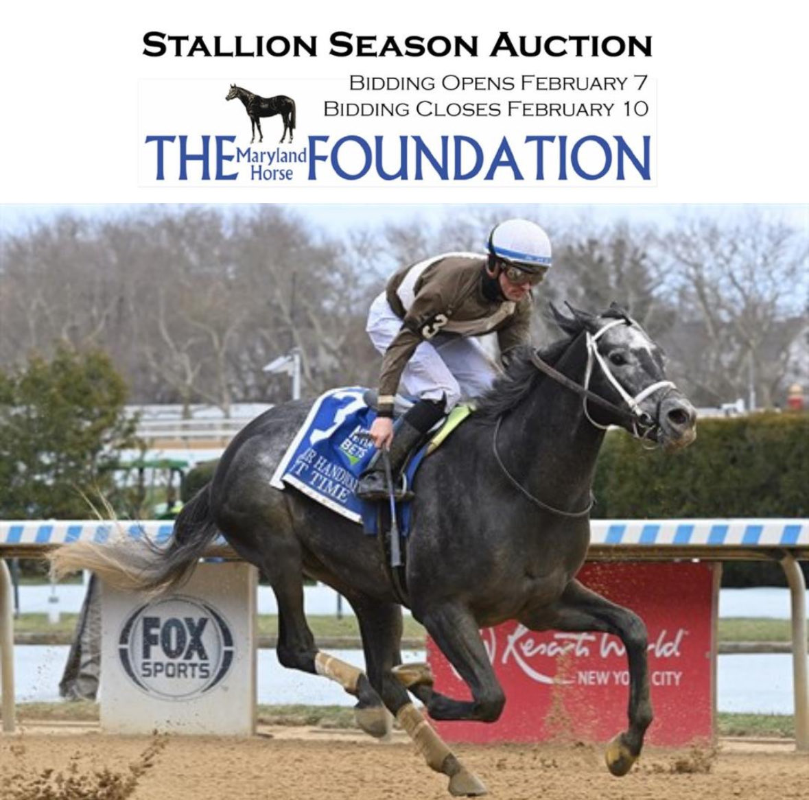 mdhorsefound's tweet photo. Bidding on the 2026 Maryland Stallion Season Auction closes TODAY with the first hip closing at 5:03 p.m. EST!

Bid now at https://t.co/dJKaRA2bTz https://t.co/pOM3cZtkEu