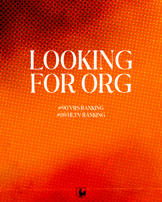 los kogutos tweet media