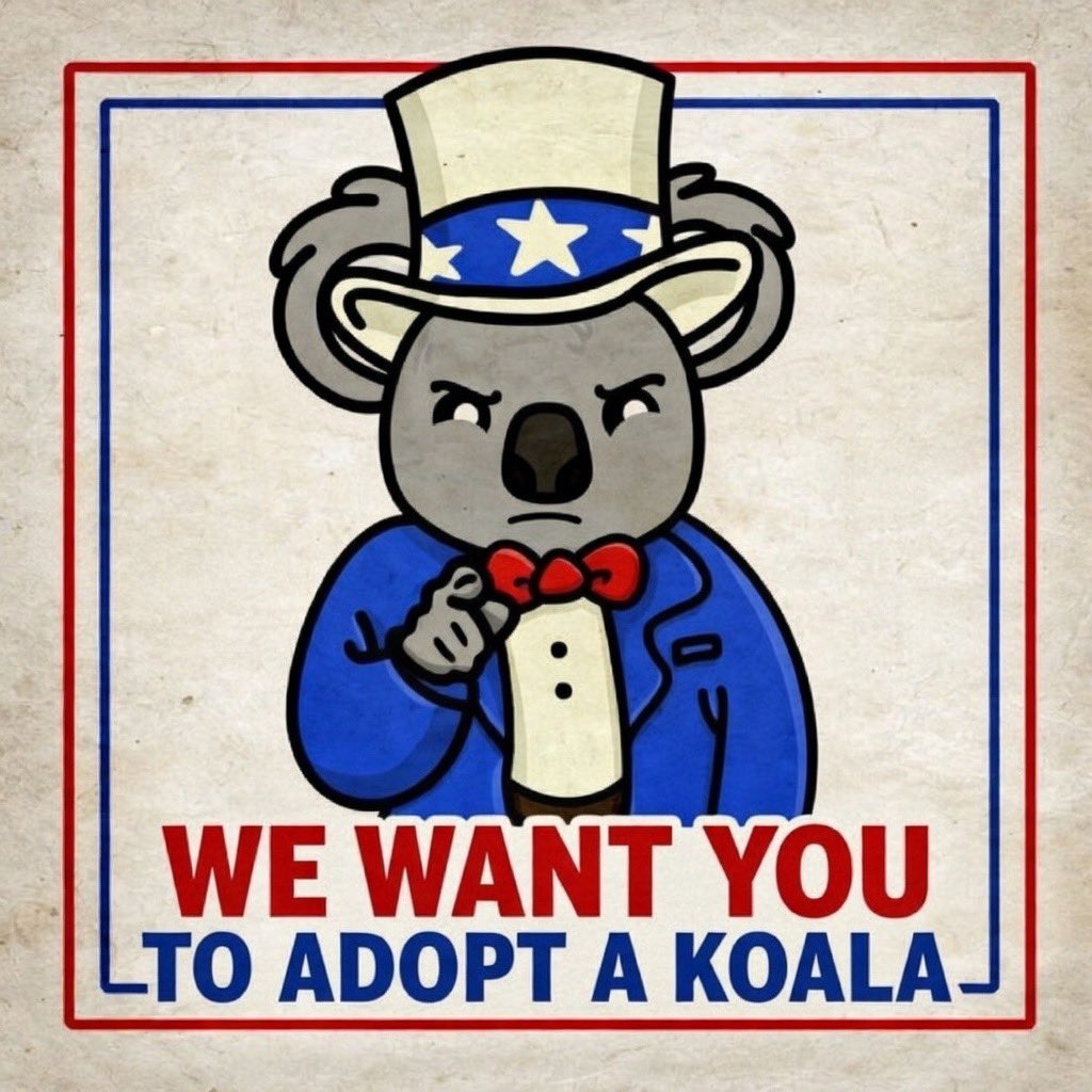 Koala Day tweet media