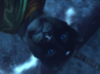 3000年生きたロムロム (@esoid_lomusca) on Twitter photo 