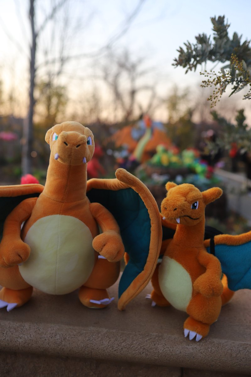 ちなみに、もちろんぼくの相棒はリザードンっ！ この2匹と、パークで