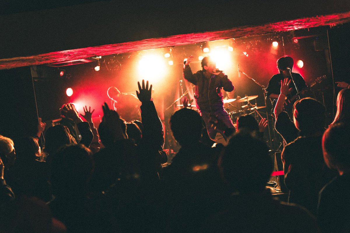 DOG STOCK tweet media