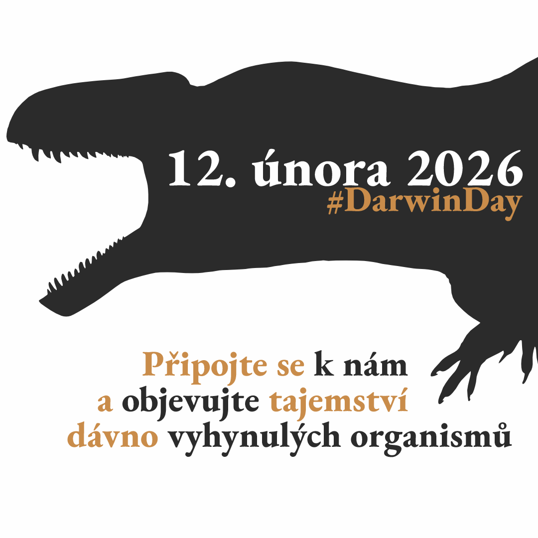 wildprecz's tweet photo. 🦖 Projekt, který začal před více než 20 lety, se po několikaleté pauze opět vrací! 🦕

Vydejte se s námi na cestu do pravěku! 🚣‍♂️

#DarwinDay https://t.co/IiNlC0cElD