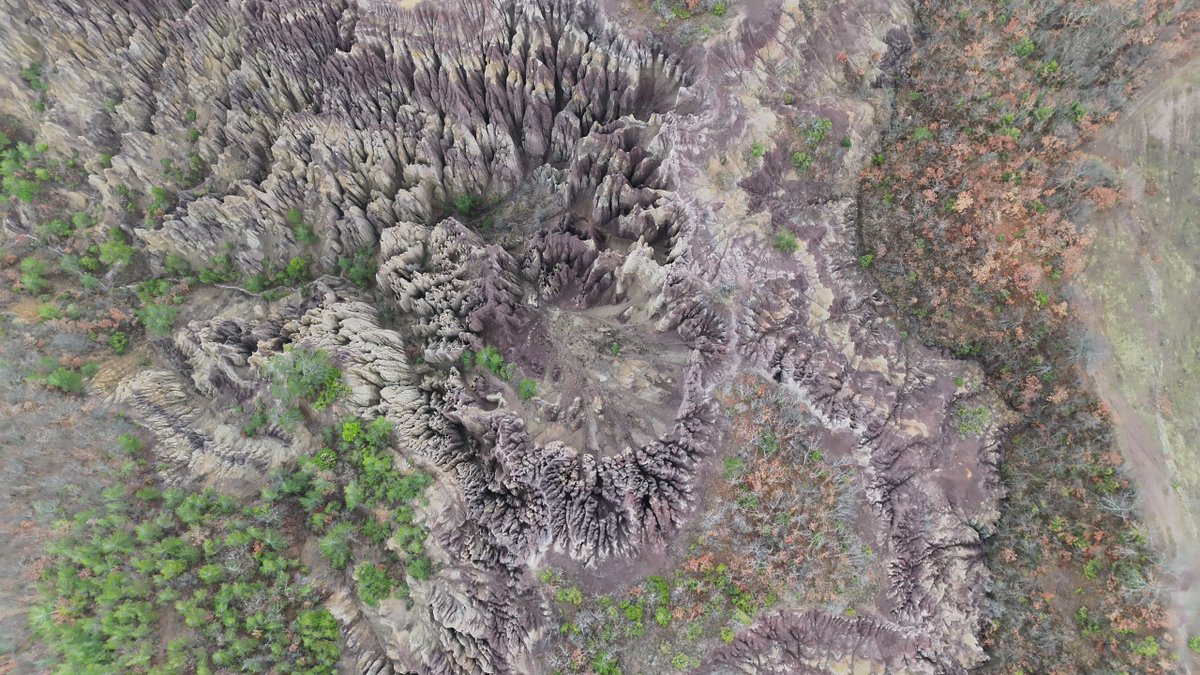Bölgemizdeki Korunan Alan Sayısı 27’ye Yükseldi 🌿

Tokat ili, Niksar ilçemizin “peri bacaları” Dilimkayalar Tabiat Anıtı adıyla koruma altına alındı.

Doğal ve kültürel mirasımızı koruyarak gelecek nesillere aktarmak için çalışmalarımızı sürdürüyoruz. <a href="/milliparklar/">Milli Parklar</a>