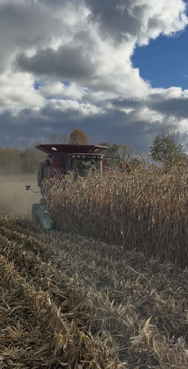 Ian Dickison tweet media