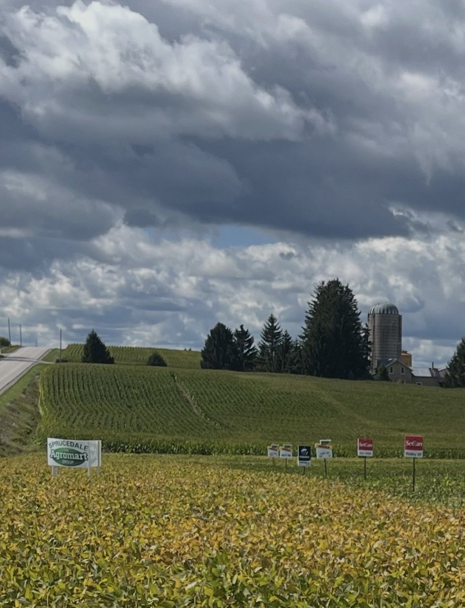 Ian Dickison tweet media