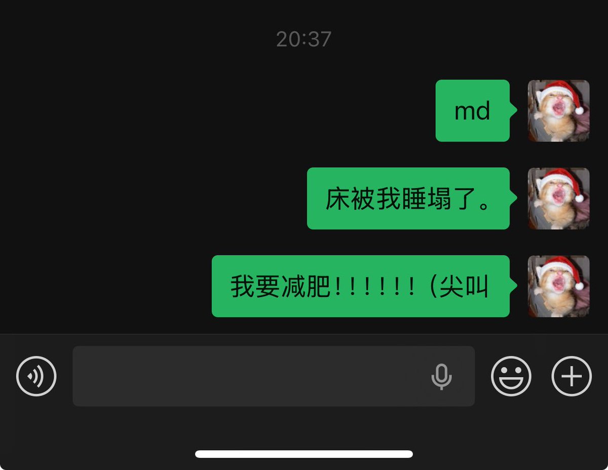 ₍˄·͈༝·͈˄*₎◞ ̑̑猫猫 tweet media