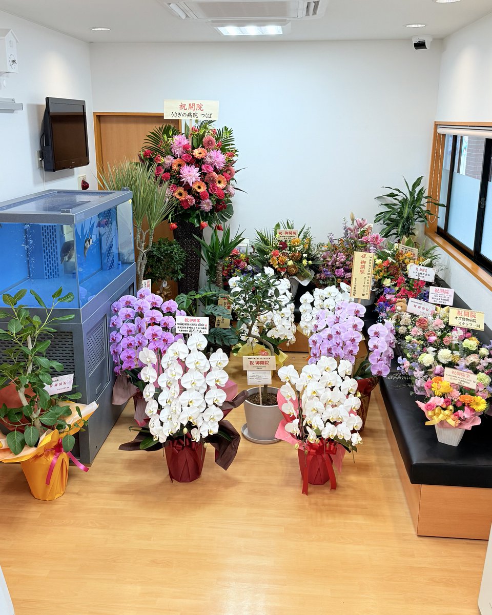 waka_exo_cli's tweet photo. たくさんの素敵な贈り物をありがとうございました💐💫

ここまで歩んでこられたのもひとえに日頃より温かくご指導・ご支援くださっている皆様のおかげです✨

心より深く感謝申し上げます💦

今後とも wakayama exotic clinic をどうぞよろしくお願い申し上げます🙇 https://t.co/84a2Qtqgxu
