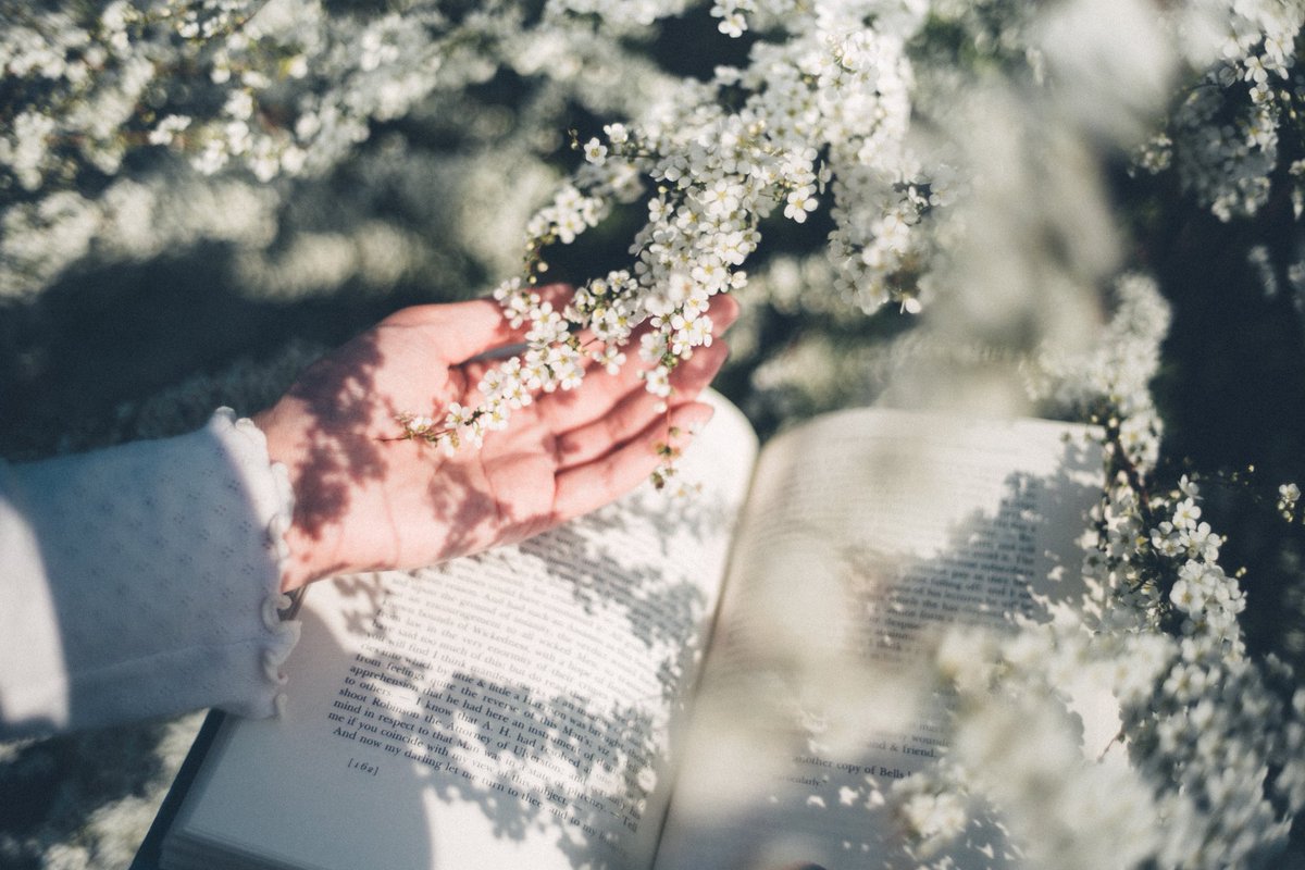 丹子tanco tweet media