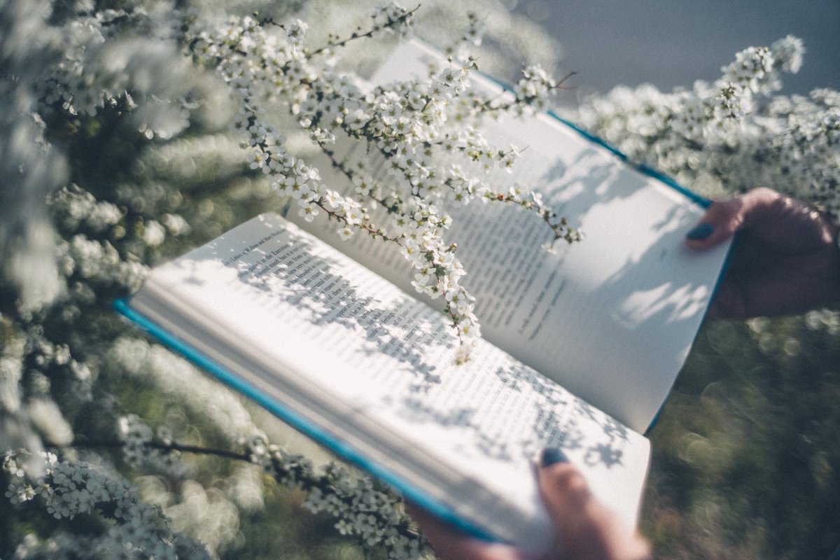 丹子tanco tweet media