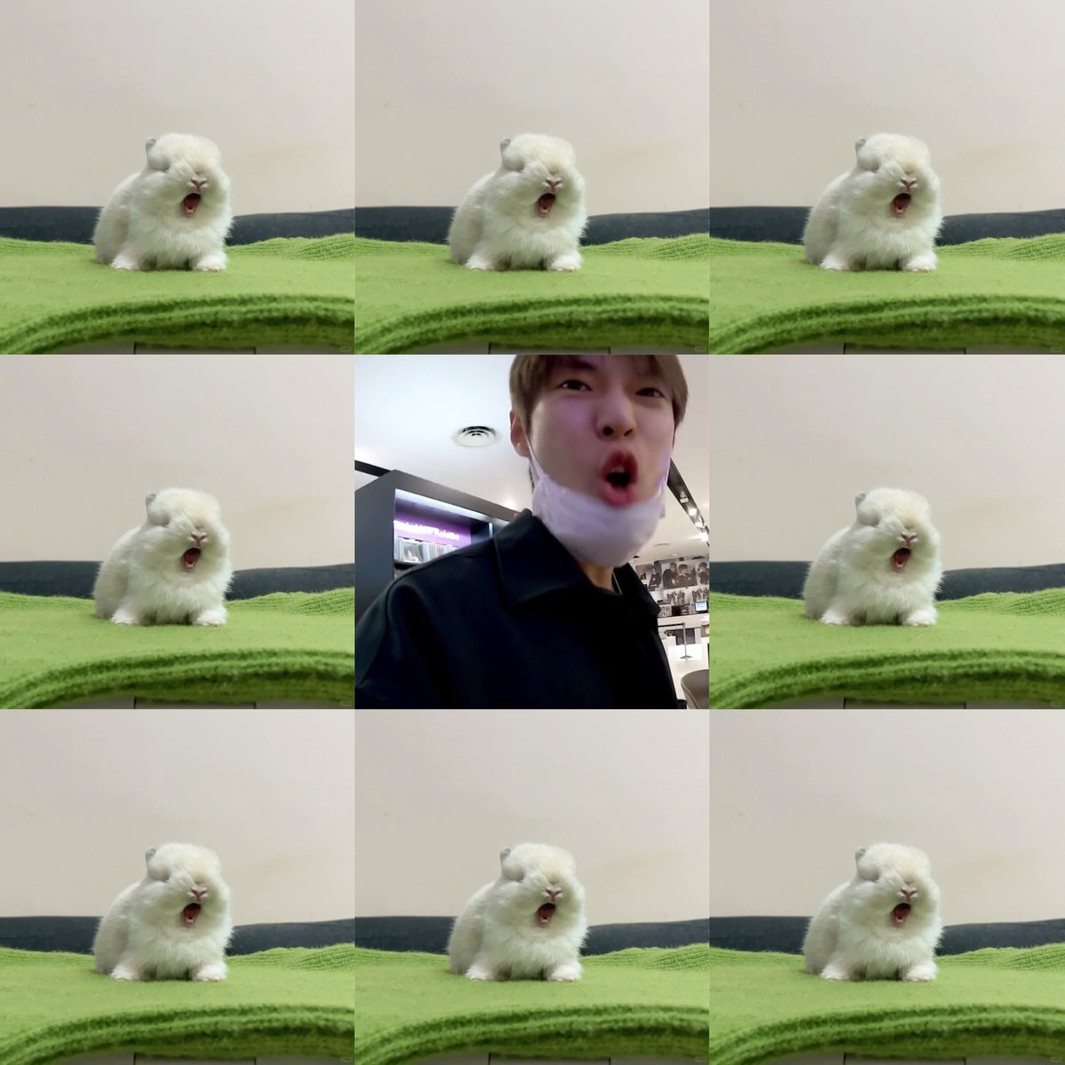 도영 D-482

*rwarrrrrr* ! 

#도영 #DOYOUNG