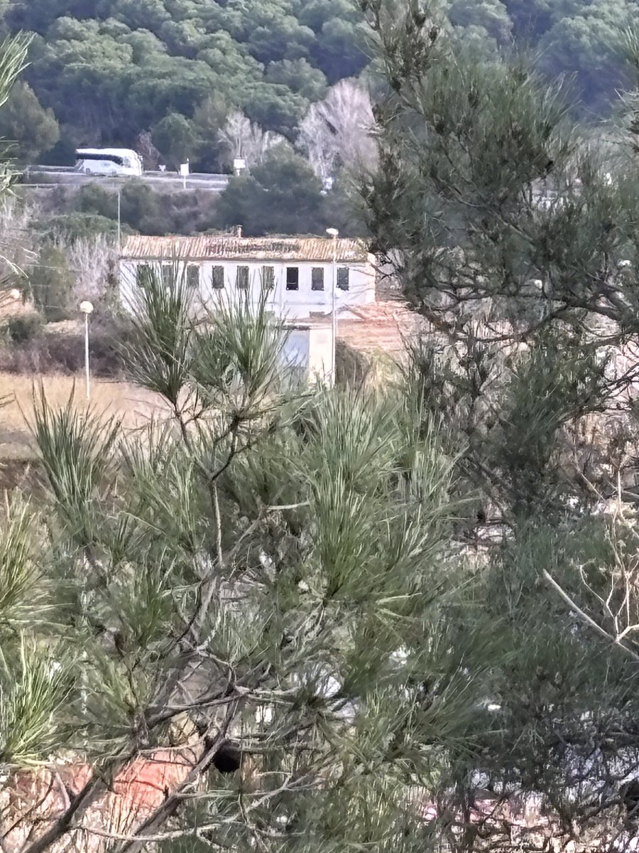 La teulada de ca l’Almirall s’ha començat a esfondrar. Així, amb la passivitat de tants, el molí paperer que va fer la base de les obres del dramaturg Àngel Guimerà, seguirà les passes cap a l’enderroc definitiu. <a href="/el_pais/">EL PAÍS</a> <a href="/LaVanguardia/">La Vanguardia</a> <a href="/elperiodico/">El Periódico</a> <a href="/naciodigital/">NacióDigital</a> <a href="/elpuntavui/">El Punt Avui 🎗️</a>