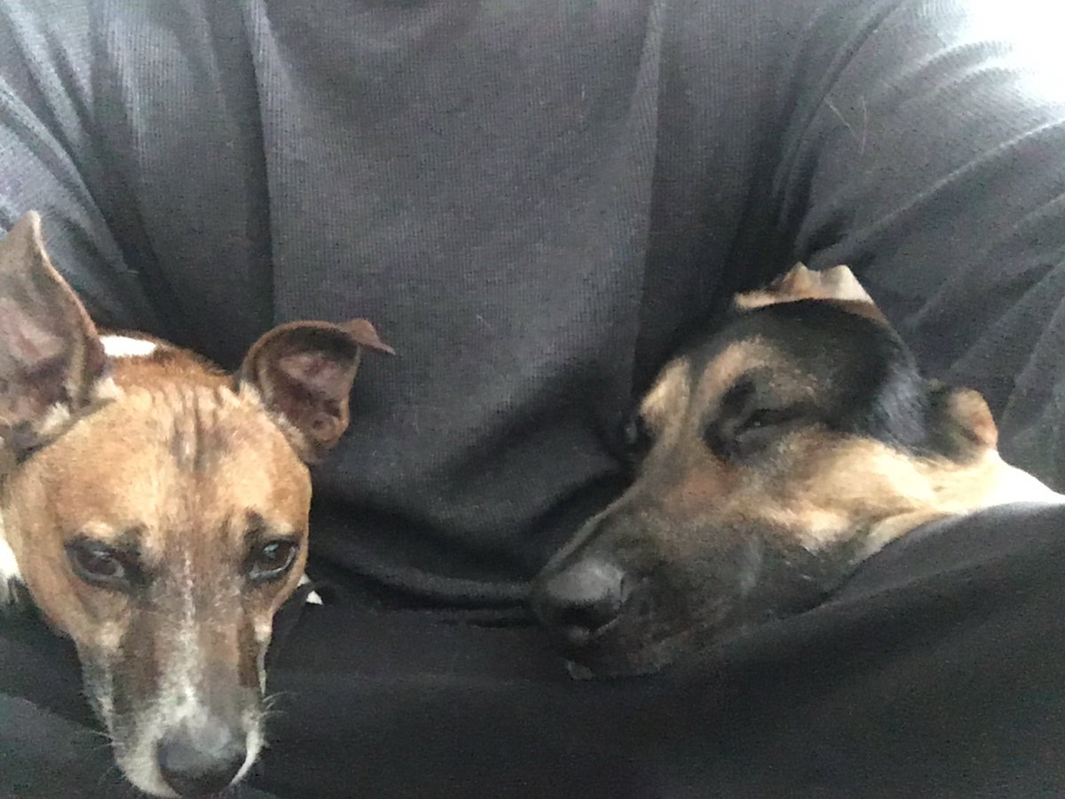 ⬣ ReeFeR-ReaPeR ⬣ tweet media