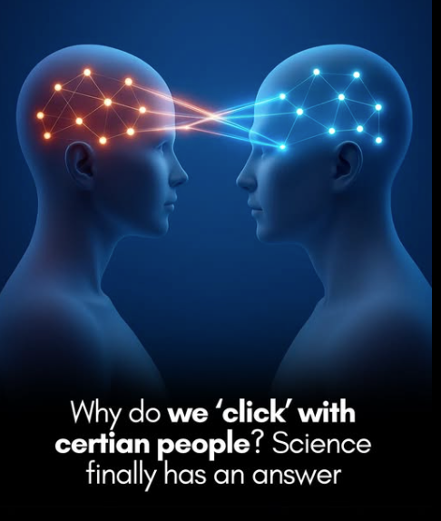 Rainmaker1973's tweet photo. Ever feel like you just *get* someone? Here's the science of what's going on.

When you vibe effortlessly in conversation, it’s not just shared interests—your brains might be in sync. Neuroscientist Ben Rein notes that close friends often share similar brain structures in social regions, a concept called homophily, where neurologically similar people bond easily. This similarity makes conversations flow smoothly, as your brains operate on the same wavelength.

Beyond this structural overlap, there’s something even more sci-fi: interbrain synchrony.

This occurs when two people interacting—especially during teamwork or storytelling—exhibit nearly identical patterns of brain activity in certain regions. It’s not magic or telepathy, just the brain’s natural ability to mirror and connect. So if you’ve ever walked away from a great conversation feeling unusually understood, there’s a good chance your brain was quite literally in sync with theirs.

[Thomson, J. (2024). The sci-fi hypothesis that explains why you click with certain people. Big Think]