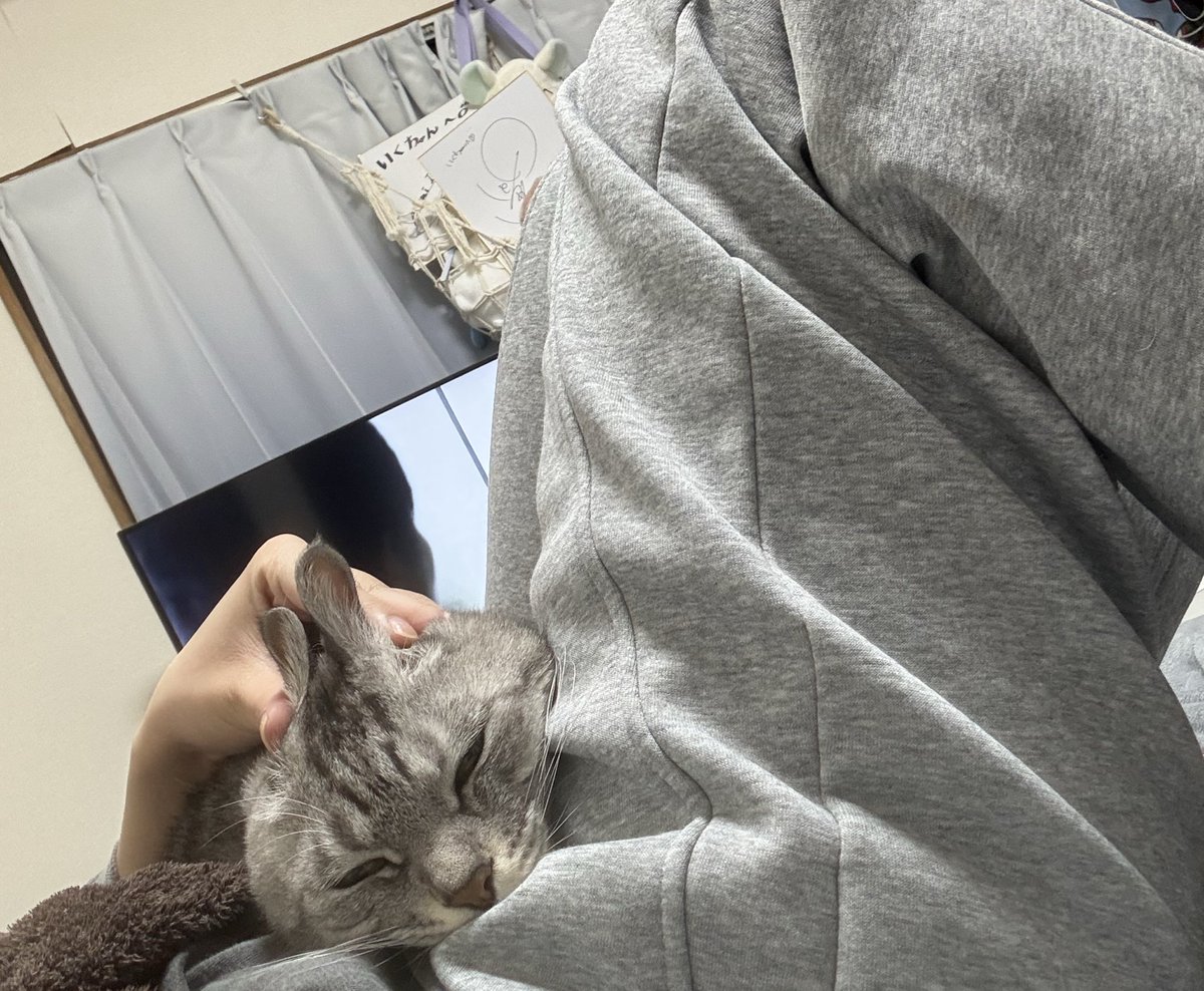 いくちゃん (@ikuchanchan_) / Posts / X