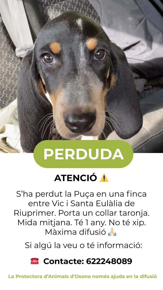 ATENCIÓ ⚠️: S’ha perdut la Puça en una finca entre #Vic i Santa Eulàlia de Riuprimer. Porta un collar taronja. Mida mitjana. Té 1 any. No té xip. Màxima difusió 🙏🏼

Si algú la veu o té informació:

☎️  Contacte: 622248089

La Protectora d’Animals d’Osona només ajuda en la difusió
