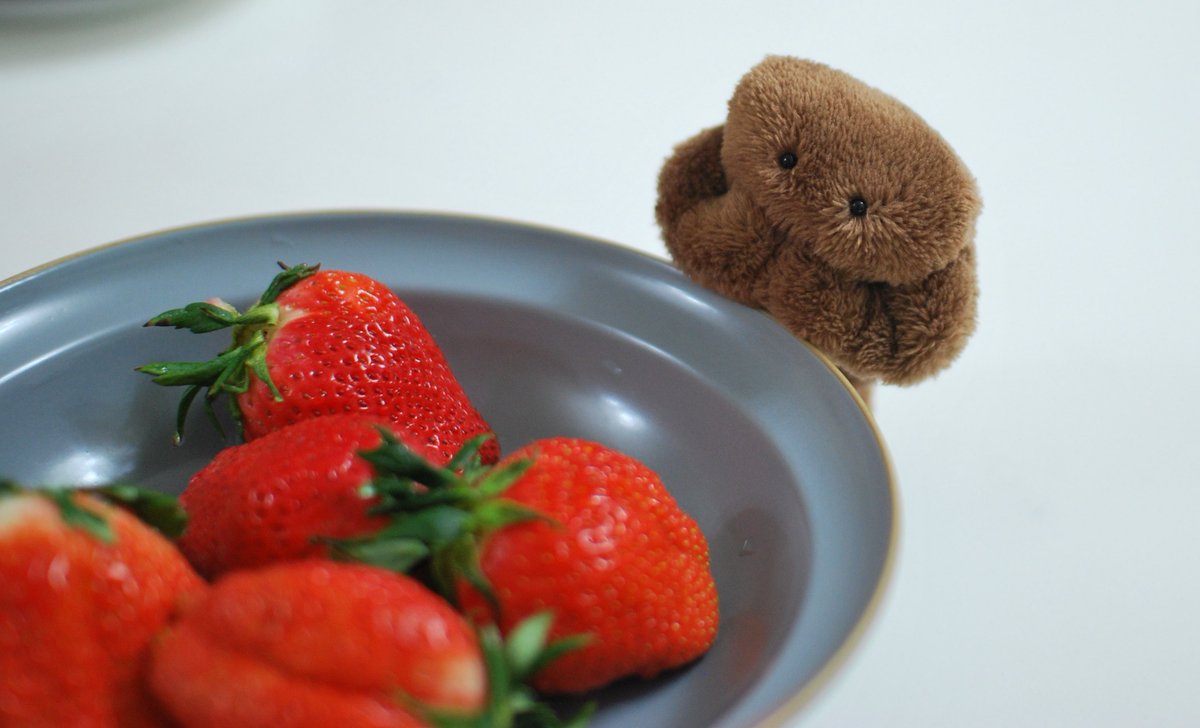 カネヒラ (@simainusima) / Posts / X