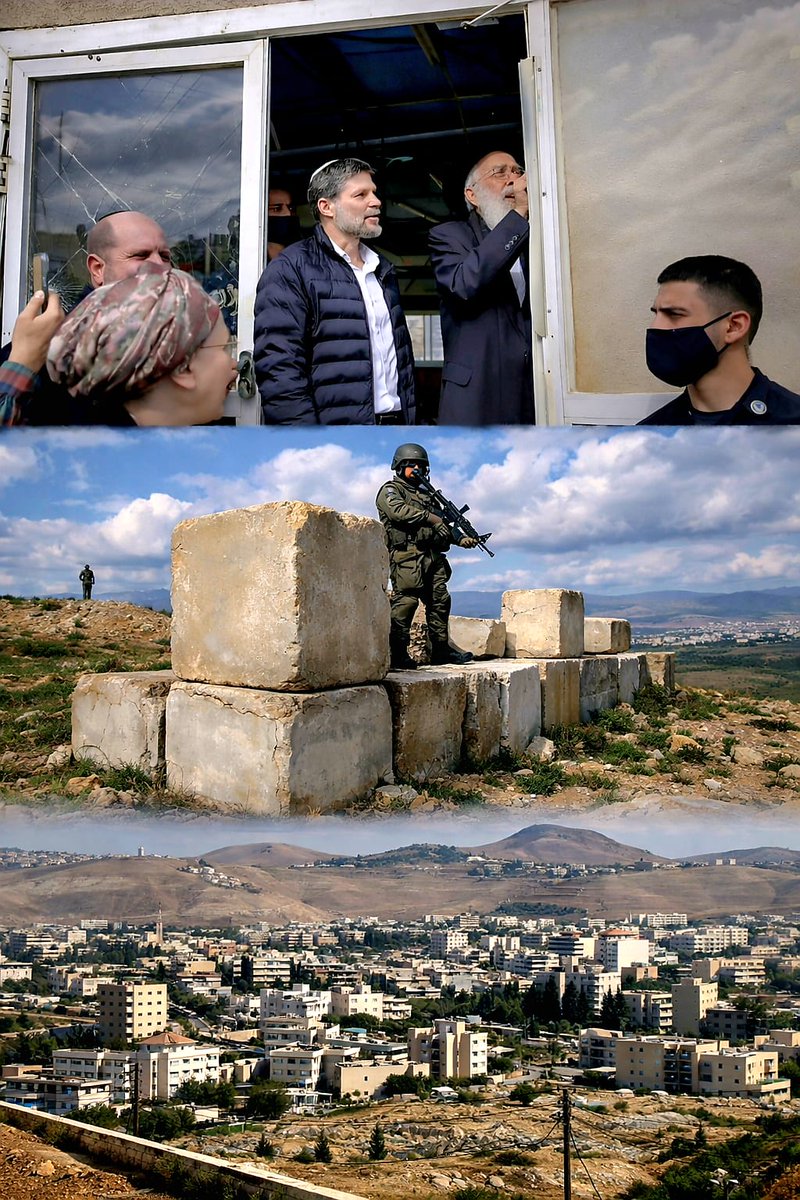 Rima Najjar tweet media