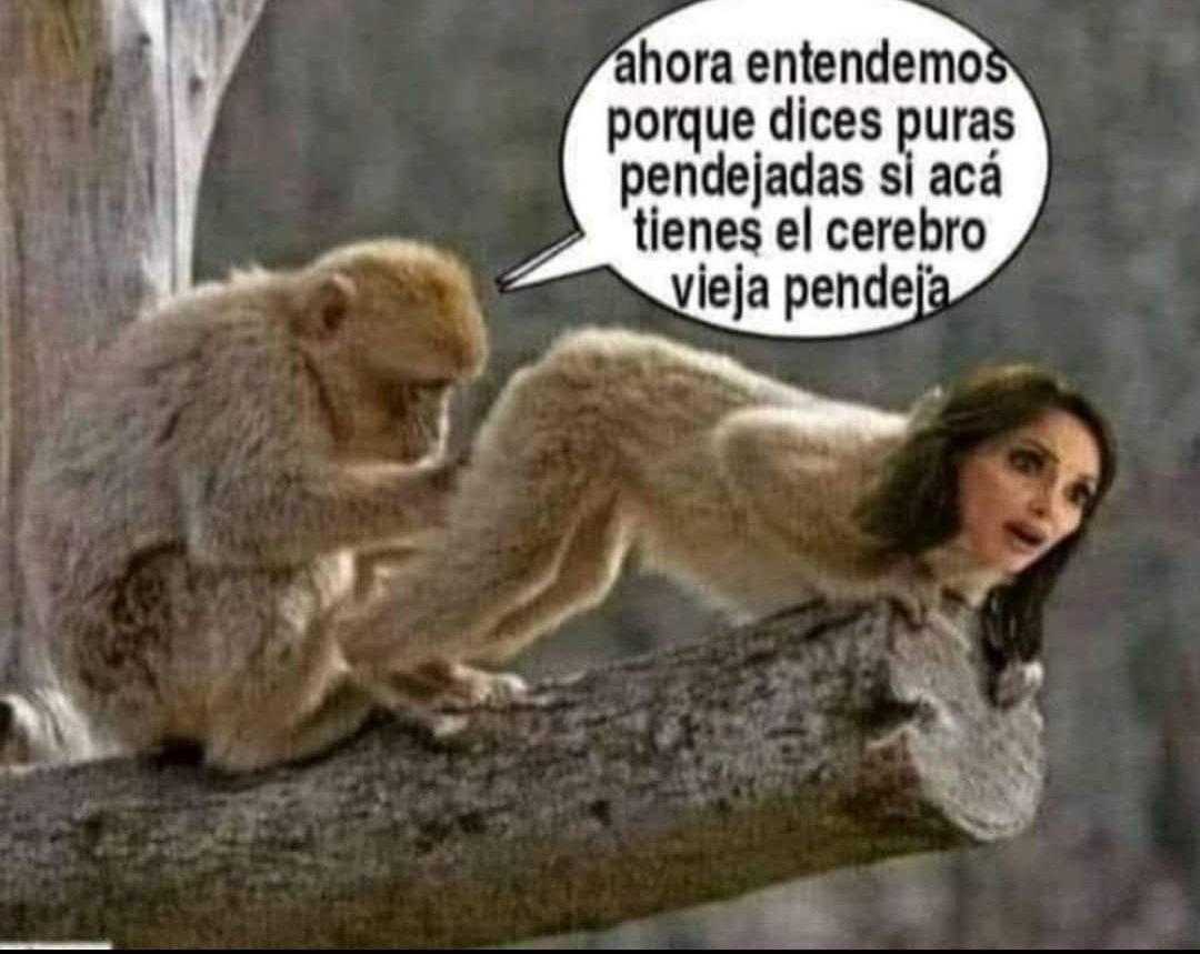 <a href="/LillyTellez/">Lilly Téllez</a> <a href="/LuisaAlcalde/">Luisa Alcalde</a> Mira lela la loka, dices puras 3stupideces   pos cómo no? solo mira donde tienes  el  🧠 <a href="/LillyTellez/">Lilly Téllez</a>