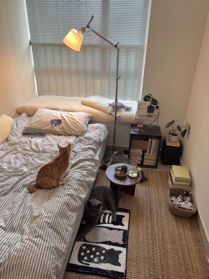 ᅠ ᅠ (@solukayna) on Twitter photo 