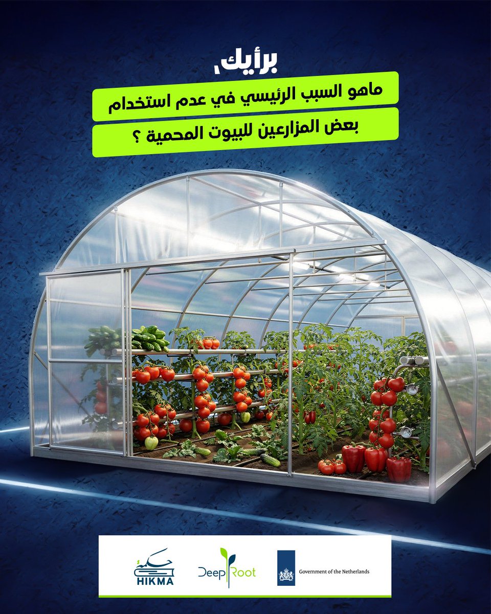 تعتبر البيوت المحمية من الابتكارات المهمة في الزراعة الحديثة، حيث تساهم في تحسين الظروف البيئية لنمو النباتات.
توفر هذه البيوت الحماية من العوامل الجوية القاسية مثل الرياح والأمطار والحرارة، مما يساعد في زيادة الإنتاجية وجودة المحاصيل 🌱. 
كما تُسهل التحكم في الآفات والأمراض،