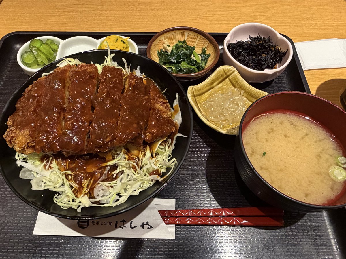 岡山駅でデミカツ丼をいただいて東京に戻ります🗼

#岡山県 #カツ丼