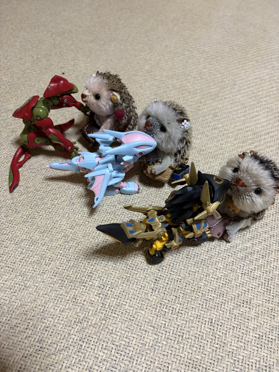 こぶた1世 (@W720dRHW3AkiU0Y) / Posts / X