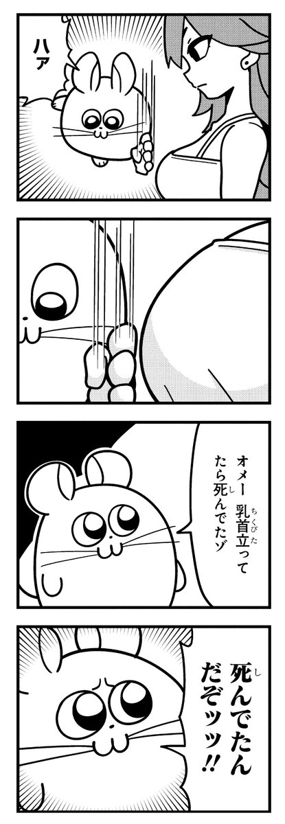 RT @chinchilla_land: SFW