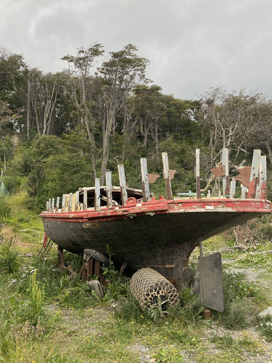 Dia 33. Los pescadores